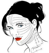 Cupping set + VITAL C - Hydrating Facial Oil - brainsforbeautyshop